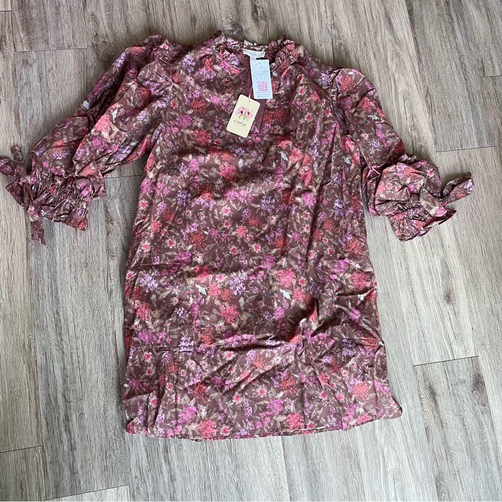 Entro Pink and Brown Floral Ruffle Dress